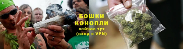 трава Билибино
