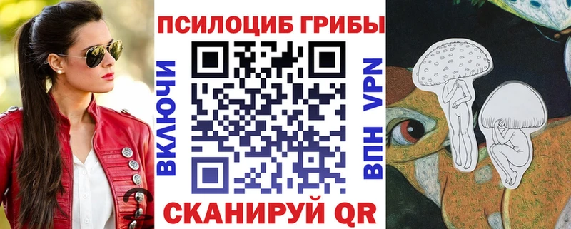 купить  цена  Скопин  Галлюциногенные грибы ЛСД 
