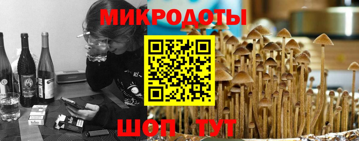 Галлюциногенные грибы мухоморы Скопин